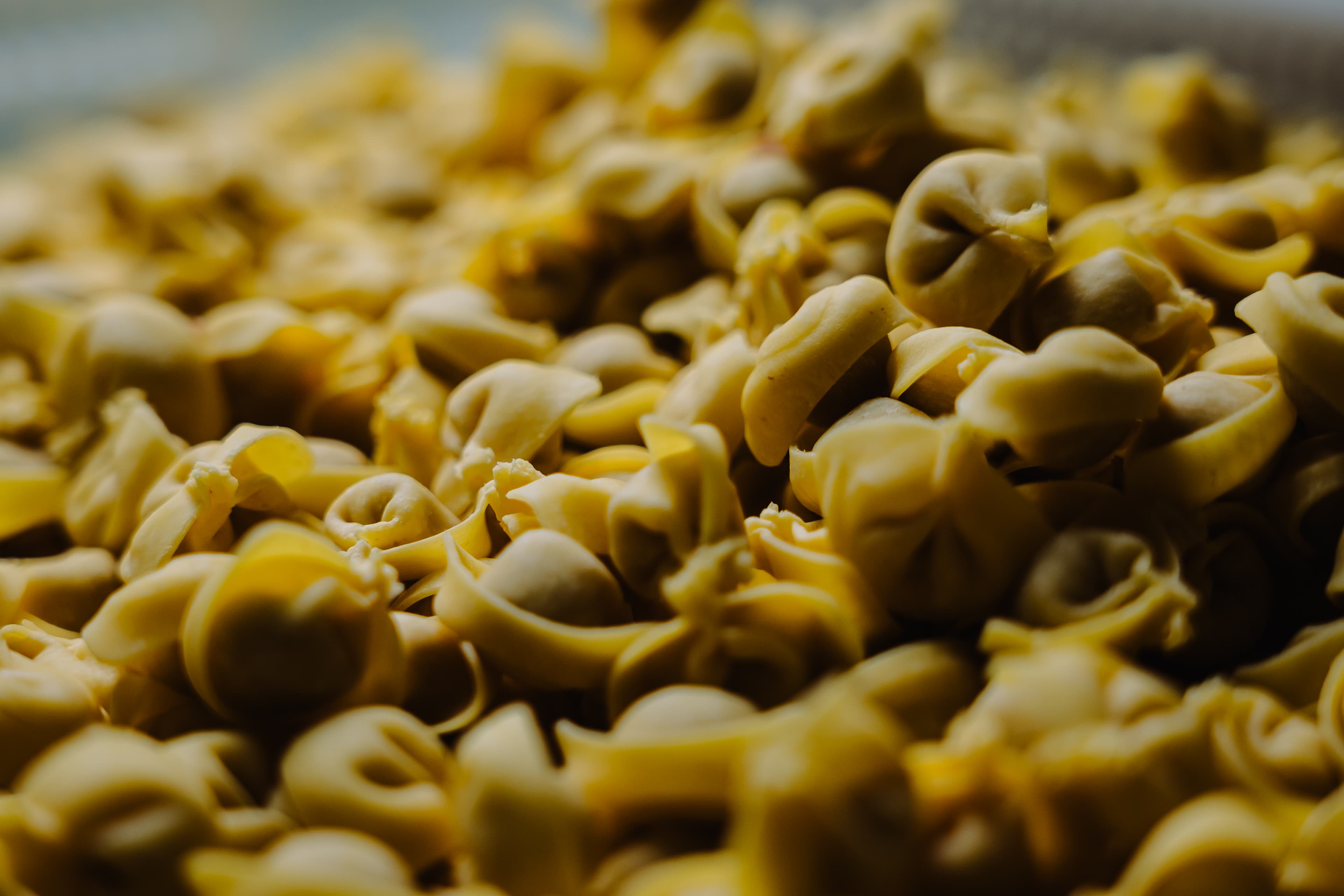 Pasta fresca 1