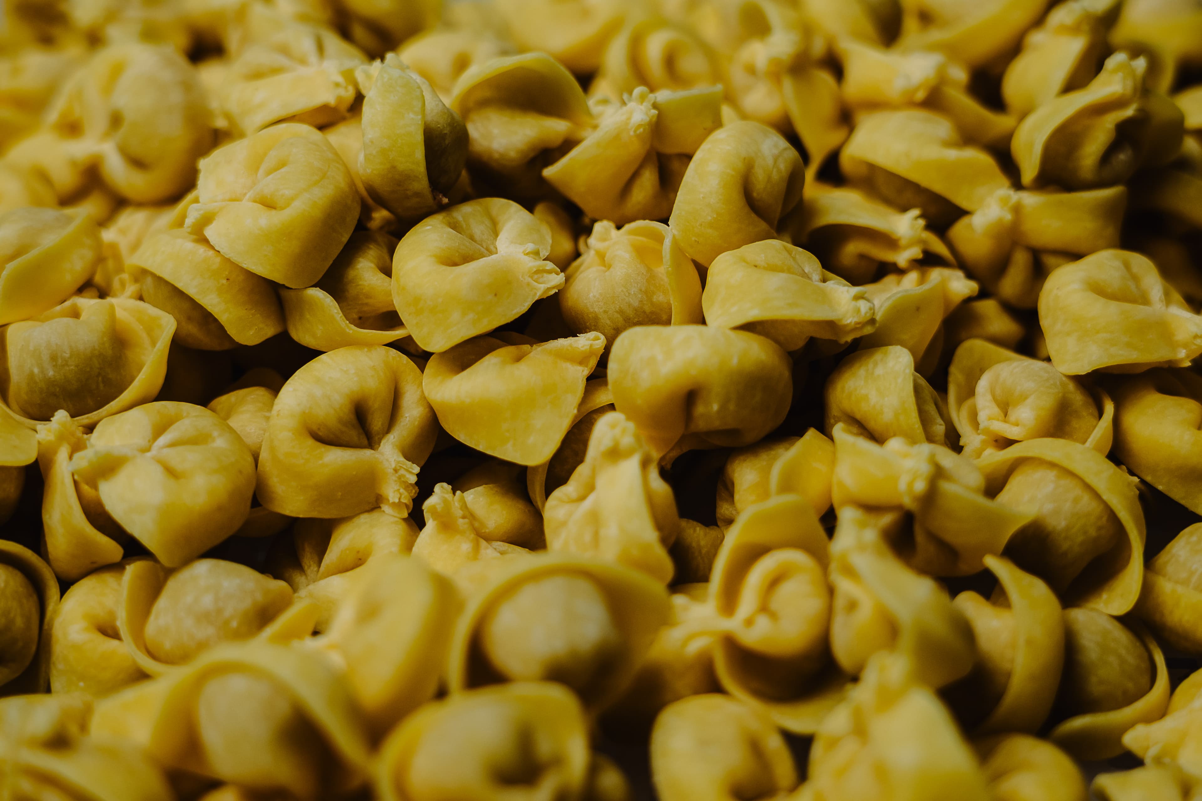 Pasta fresca 4