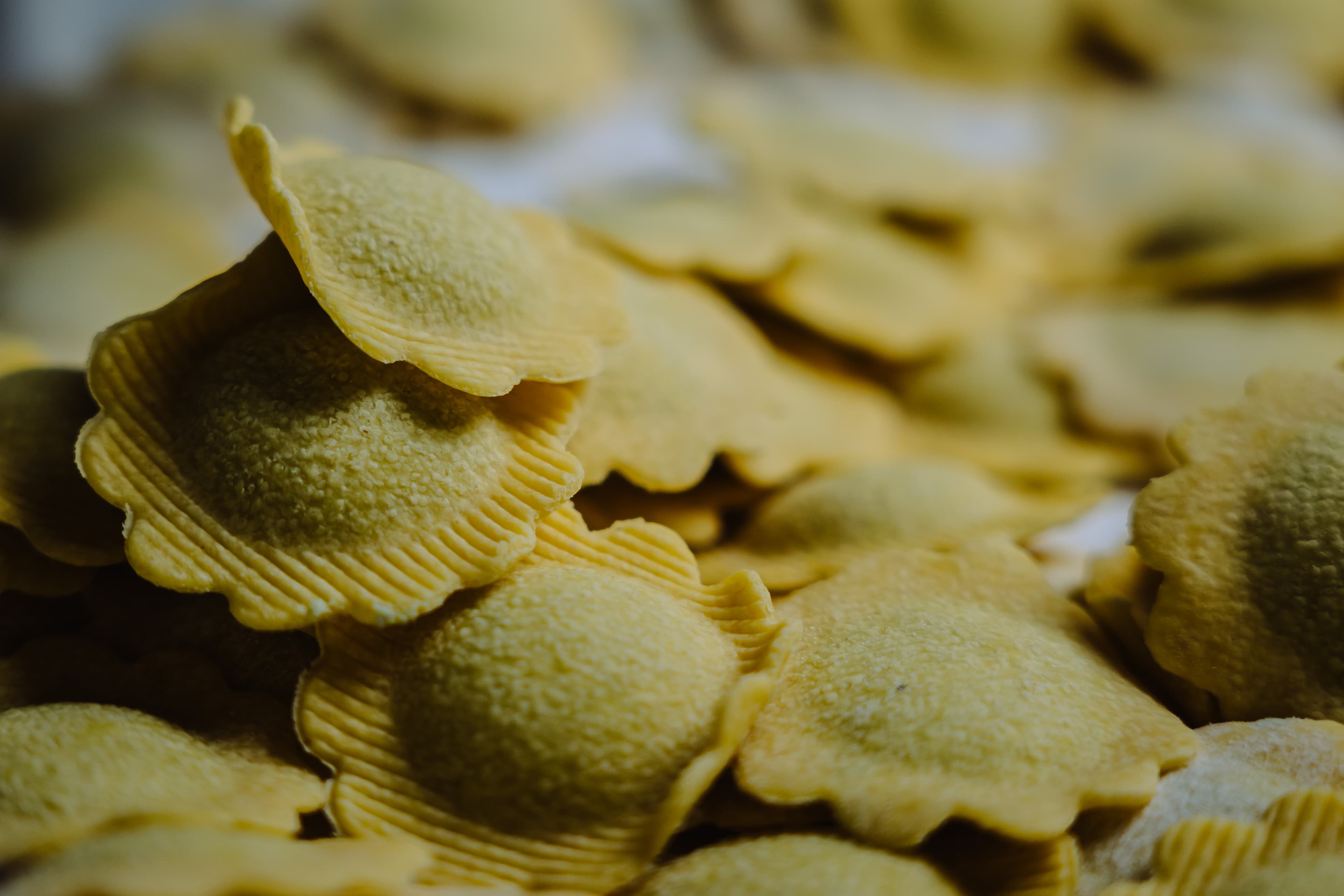 Pasta fresca 5