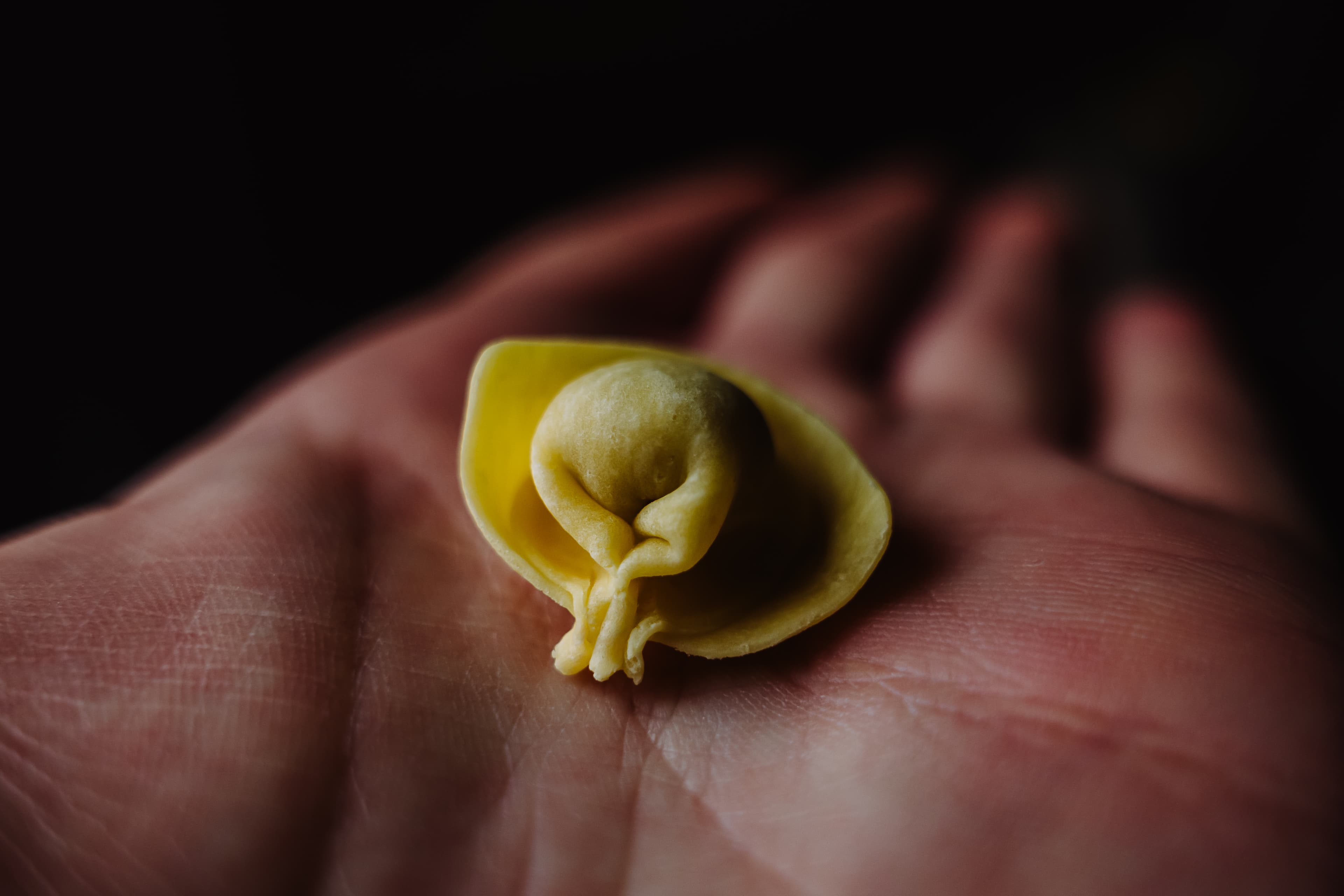 Pasta fresca 7